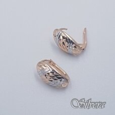 Auksiniai auskarai AE109