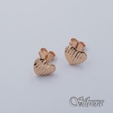 Auksiniai auskarai AE140