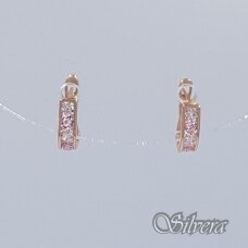 Auksiniai auskarai su cirkoniais AE158