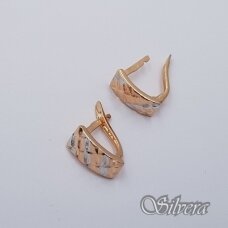 Auksiniai auskarai AE305