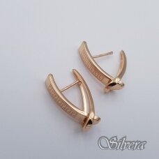 Auksiniai auskarai AE362