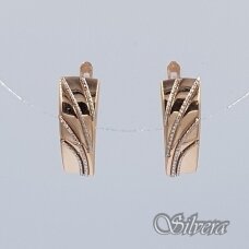 Auksiniai auskarai AE387
