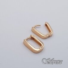 Auksiniai auskarai AE435
