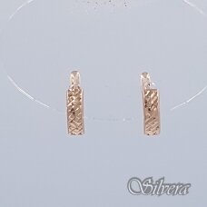 Auksiniai auskarai AE84