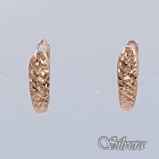 Auksiniai auskarai AU351