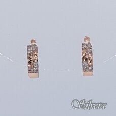 Auksiniai auskarai su cirkoniais AE18