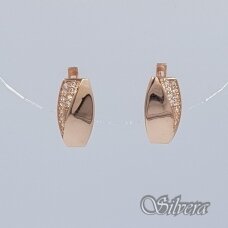 Auksiniai auskarai su cirkoniais AE180