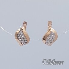 Auksiniai auskarai su cirkoniais AE182