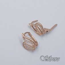 Auksiniai auskarai su cirkoniais AE231