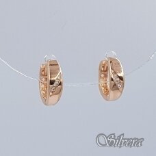 Auksiniai auskarai su cirkoniais AE299