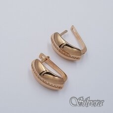 Auksiniai auskarai su cirkoniais AE345