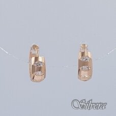 Auksiniai auskarai su cirkoniais AE376
