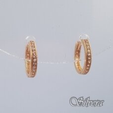 Auksiniai auskarai su cirkoniais AE433