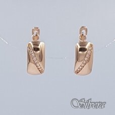 Auksiniai auskarai su cirkoniais AE464