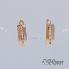Auksiniai auskarai su  cirkoniais AE465