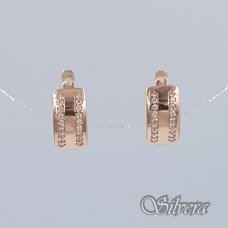 Auksiniai auskarai su cirkoniais AE466