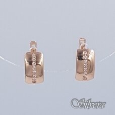 Auksiniai auskarai su cirkoniais AE51