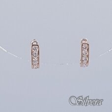 Auksiniai auskarai su cirkoniais AE76