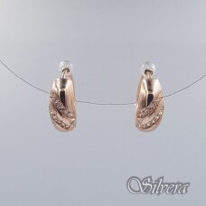Auksiniai auskarai su cirkoniais AE259