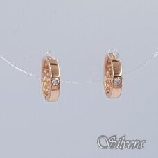 Auksiniai auskarai su cirkoniu AE300