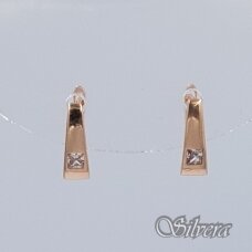 Auksiniai auskarai su cirkoniu AE393