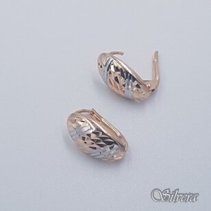 Auksiniai auskarai AE109
