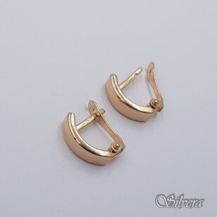 Auksiniai auskarai AE302