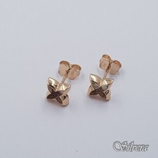 Auksiniai auskarai AE333