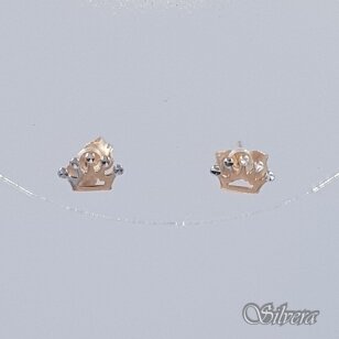 Auksiniai auskarai AE336