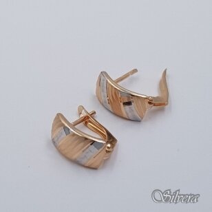 Auksiniai auskarai AE398