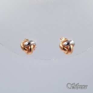 Auksiniai auskarai AE416