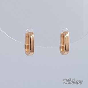 Auksiniai auskarai AE435