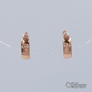 Auksiniai auskarai su cirkoniais AE184