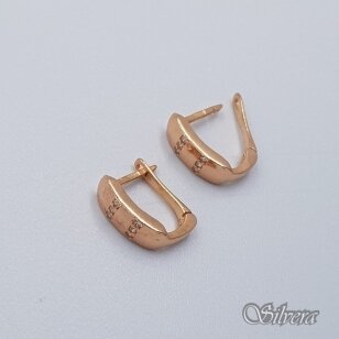 Auksiniai auskarai su cirkoniais AE184