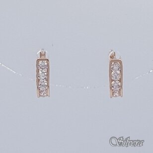 Auksiniai auskarai su cirkoniais AE223