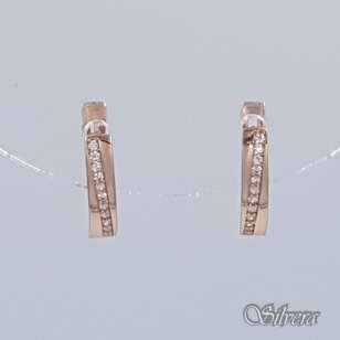 Auksiniai auskarai su cirkoniais AE224