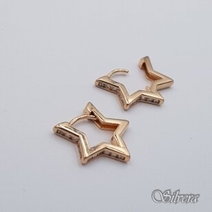 Auksiniai auskarai su cirkoniais AE436