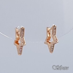 Auksiniai auskarai su cirkoniais AE436