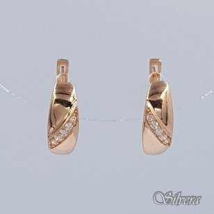 Auksiniai auskarai su cirkoniais AE463