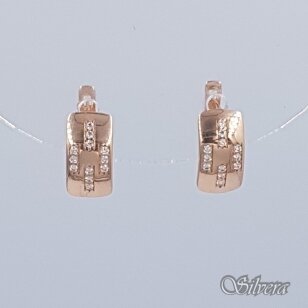 Auksiniai auskarai su cirkoniais AE52