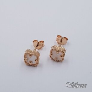 Auksiniai auskarai su perlamutru AE411