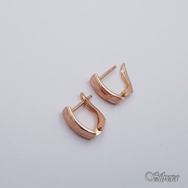 Zelta auskari AE667
