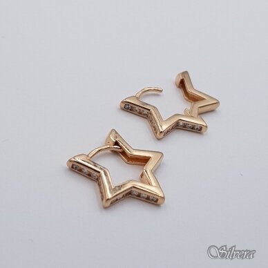 Auksiniai auskarai su cirkoniais AE436 1