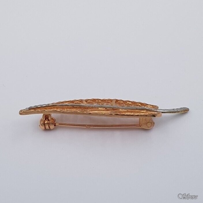 Zelta piespraude SA06 1