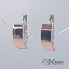 Sidabriniai auskarai su aukso detalėmis Au1484