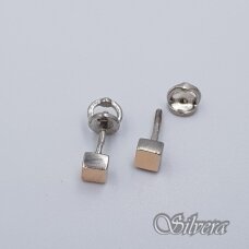 Sidabriniai auskarai su aukso detalėmis Au9020