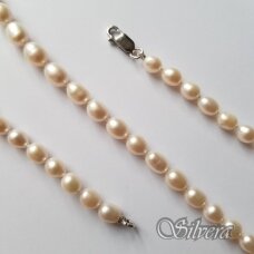 Vėrinys iš perlų FCW365; 50 cm